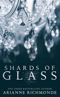 bokomslag Shards of Glass