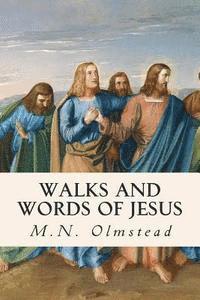 bokomslag Walks and Words of Jesus