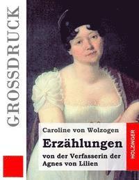 bokomslag Erzählungen (Großdruck): von der Verfasserin der Agnes von Lilien