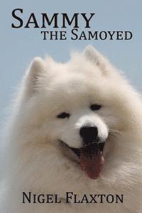 Sammy the Samoyed 1