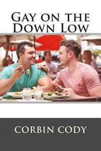bokomslag Gay on the Down Low