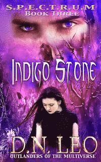 D. N. Leo - Indigo Stone (Spectrum Series - Book 3): Outlanders of the Multiverse, Häftad