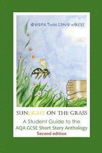 bokomslag 'Sunlight on the Grass': A Student Guide to the AQA GCSE Short Story Anthology: Large Print Edition