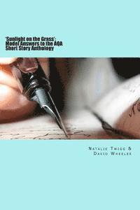 'Sunlight on the Grass': Model Answers to the AQA Short Story Anthology: Large Print Edition