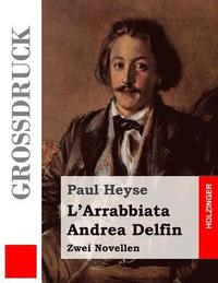 bokomslag L'Arrabbiata / Andrea Delfin (Großdruck): Zwei Novellen
