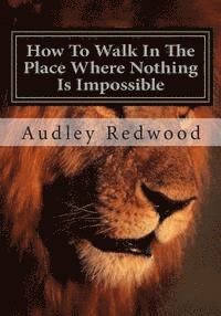 Audley Redwood - How to walk in the place where nothing is impossible, Häftad