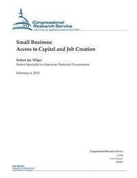 bokomslag Small Business: Access to Capital and Job Creation