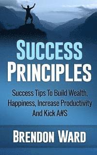 bokomslag Success Principles: Success Tips To Build Wealth, Happiness, Increase Productivity And Kick A#S