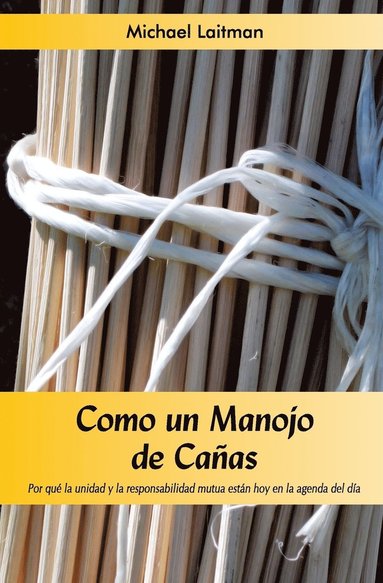 bokomslag Como un manojo de cañas