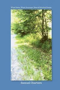 bokomslag What Paths, What Journeys: New & Selected Poems