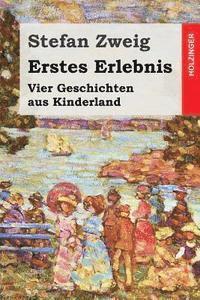 bokomslag Erstes Erlebnis: Vier Geschichten aus Kinderland