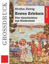 bokomslag Erstes Erlebnis (Großdruck): Vier Geschichten aus Kinderland