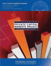 bokomslag 2015 Capital Markets Report