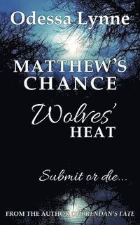 Matthew's Chance 1