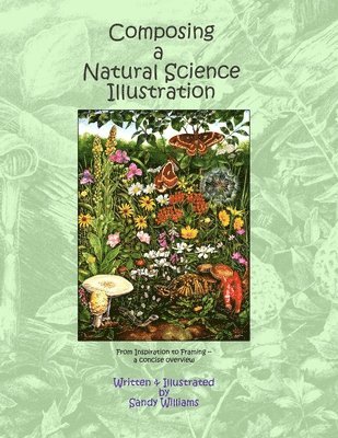 Composing a Natural Science Illustration: From Inspiration to Framing 1