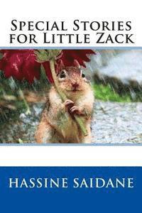bokomslag Special Stories for Little Zack