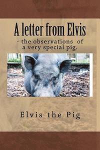 bokomslag A letter from Elvis - the jottings of a very special pig.