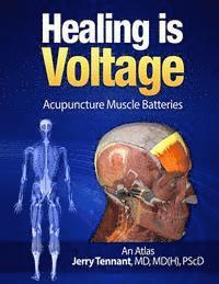 bokomslag Healing is Voltage: Acupuncture Muscle Batteries