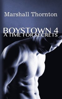 bokomslag Boystown 4