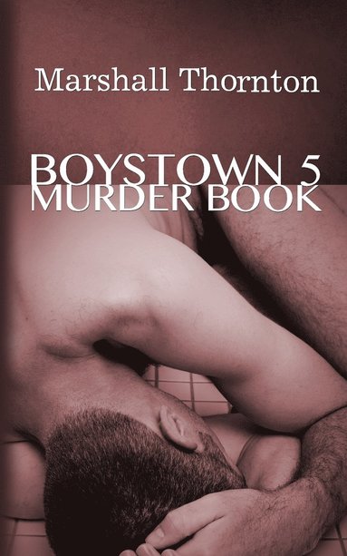 bokomslag Boystown 5