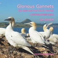 bokomslag Glorious Gannets, the Bass Rock and North Berwick