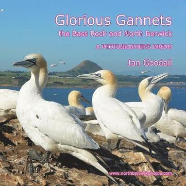 bokomslag Glorious Gannets, the Bass Rock and North Berwick