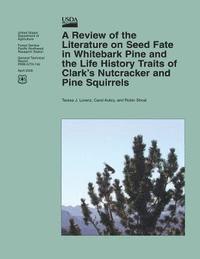 A Review of the Literature on Seed Fate in Whitebark Pine and the Life History Traits of Clark's Nutcracker and Pine Squirrels 1