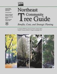 bokomslag Northeast Community Tree Guide: Benefits, Costs, and Strategic Planting