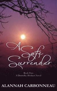 bokomslag A Safe Surrender: A Donnelley Brother's Novel