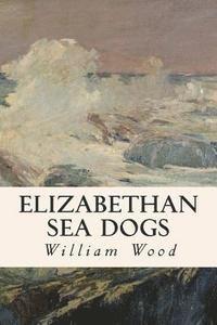 bokomslag Elizabethan Sea Dogs