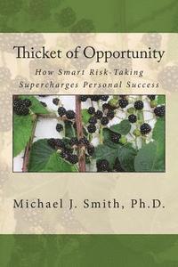 bokomslag Thicket of Opportunity: How Smart Risk-Taking Supercharges Personal Success