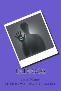 bokomslag Indigos
