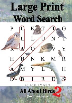 bokomslag Large Print Word Search: All About Birds (North America) 2