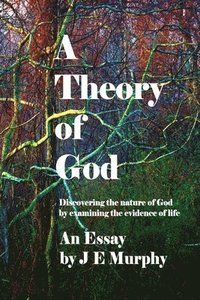 bokomslag A Theory of God: Discovering the nature of God by examining the evidence of Life