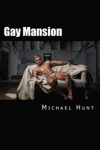 bokomslag Gay Mansion