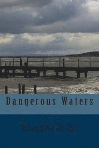 bokomslag Dangerous Waters