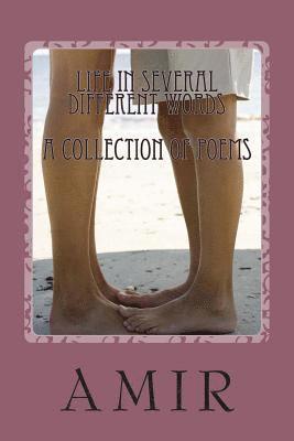 Amir - Life in Several Different Words: A collection of poems, Häftad