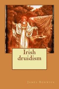 bokomslag Irish druidism
