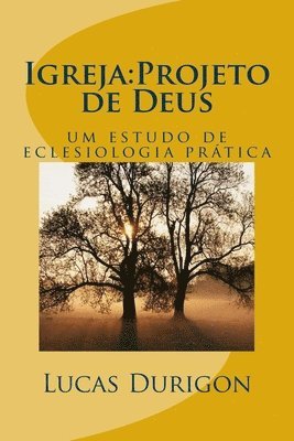 bokomslag Igreja: Projeto de Deus: um estudo de eclesiologia prática