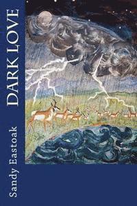 bokomslag Dark Love