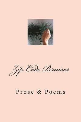 Lisa Flowers - Zip Code Bruises: Prose & Poetry, Häftad