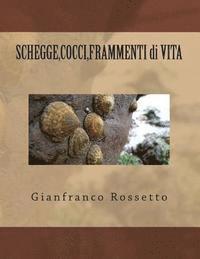 bokomslag SHEGGE, COCCI, FRAMMENTI di VITA