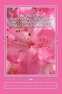 bokomslag The Process-Surviving The First Second and Third Spiritual Trimester