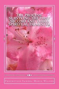 Prophetess Sandra Marie Wilson - The Process-Surviving The First Second and Third Spiritual Trimester, Häftad