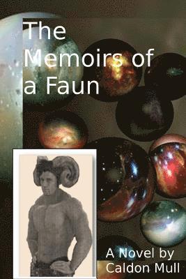 bokomslag Memoirs of a Faun
