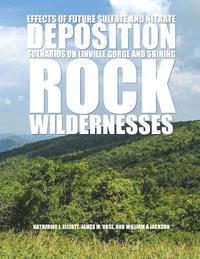 bokomslag Effects of Future Sulfate and Nitrate Deposition Scenarios on Linville Gorge and Shining Rock Wildernesses