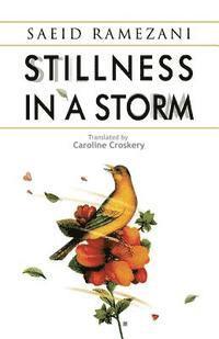 Stillness in a Storm 1