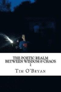 bokomslag The Poetic Realm between Wisdom & Chaos, "1": Selected Poems, 1998-99