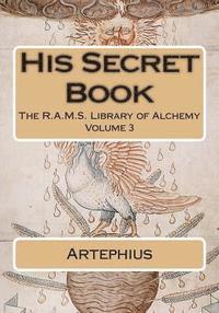 bokomslag His Secret Book