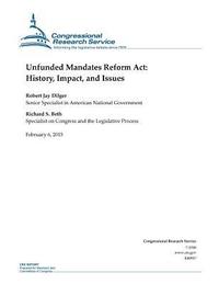 bokomslag Unfunded Mandates Reform Act: History, Impact, and Issues